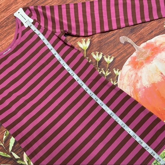 MATILDA JANE Secret Fields Striped Tunic Tee Callie Pink/Brown Medium - Picture 4 of 8